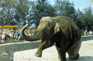 zoo_dvur_0001