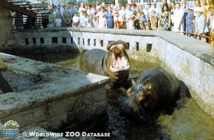 zoo_dvur_0002