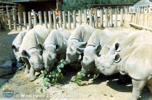 zoo_dvur_0003