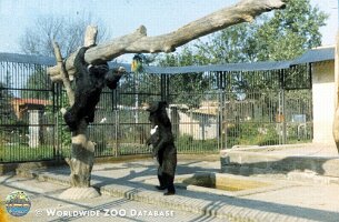 zoo_dvur_0004