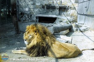 zoo_dvur_0005
