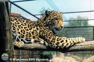 zoo_dvur_0007
