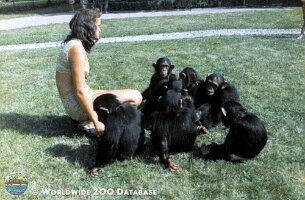 zoo_dvur_0008