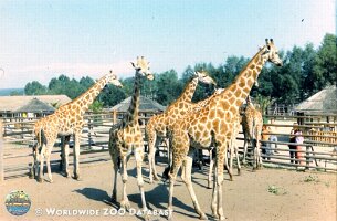 zoo_dvur_0009