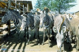 zoo_dvur_0011