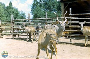 zoo_dvur_0015