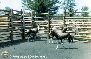 zoo_dvur_0017