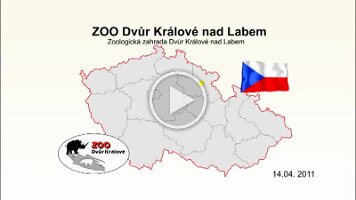zoo_dvur_kralove
