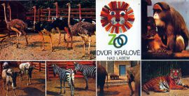 propagace dvur_kralove 110