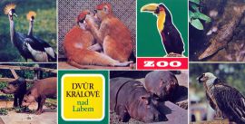 propagace dvur_kralove 117