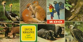propagace dvur_kralove 118