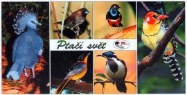 propagace dvur_kralove 139