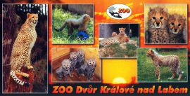 propagace dvur_kralove 152