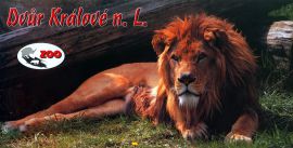 propagace dvur_kralove 169