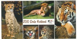 propagace dvur_kralove 135