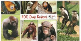 propagace dvur_kralove 136