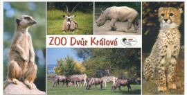propagace dvur_kralove 137