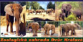 propagace dvur_kralove 159