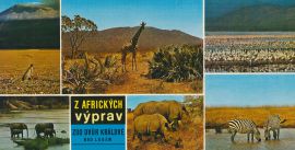 propagace dvur_kralove 108