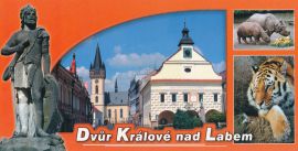 propagace dvur_kralove 129