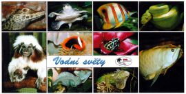 propagace dvur_kralove 141