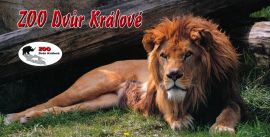 propagace dvur_kralove 168