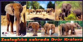 propagace dvur_kralove 161