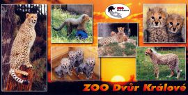 propagace dvur_kralove 158
