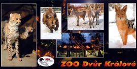 propagace dvur_kralove 157