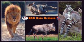 propagace dvur_kralove 146