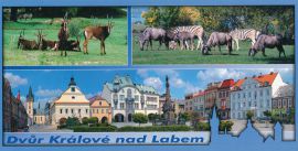 propagace dvur_kralove 132