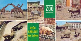 propagace dvur_kralove 124