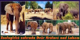 propagace dvur_kralove 162