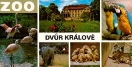 propagace dvur_kralove 126