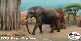 propagace dvur_kralove 166