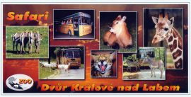 propagace dvur_kralove 163