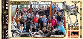propagace dvur_kralove 175