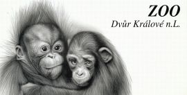 propagace dvur_kralove 221