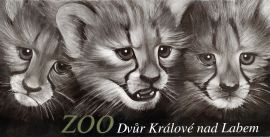 propagace dvur_kralove 222
