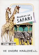 propagace dvur_kralove 219