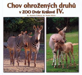 propagace dvur_kralove 37