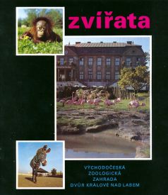propagace dvur_kralove 43