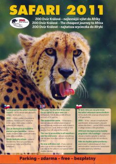 propagace dvur_kralove 60