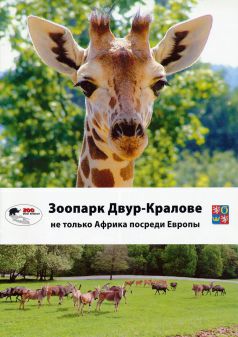 propagace dvur_kralove 51
