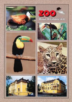 propagace dvur_kralove 48