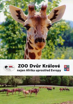 propagace dvur_kralove 50