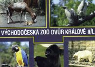 propagace dvur_kralove 407