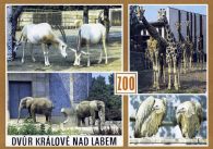 propagace dvur_kralove 416