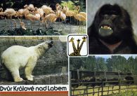 propagace dvur_kralove 422