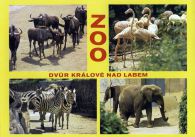propagace dvur_kralove 425